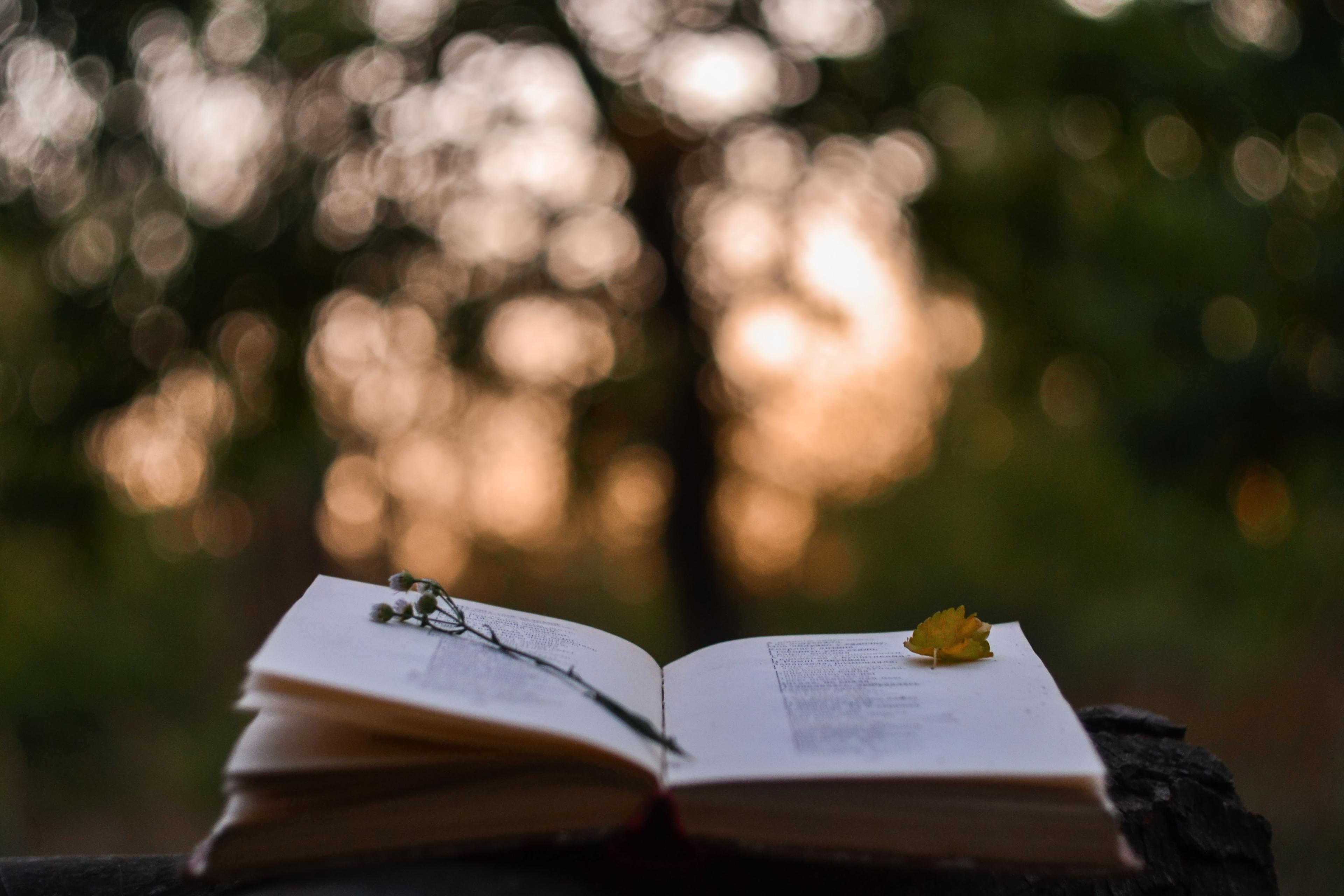 Words Alive