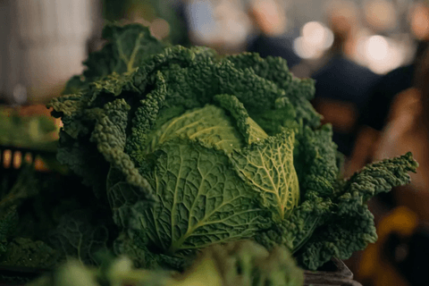 Zero Waste Kitchen