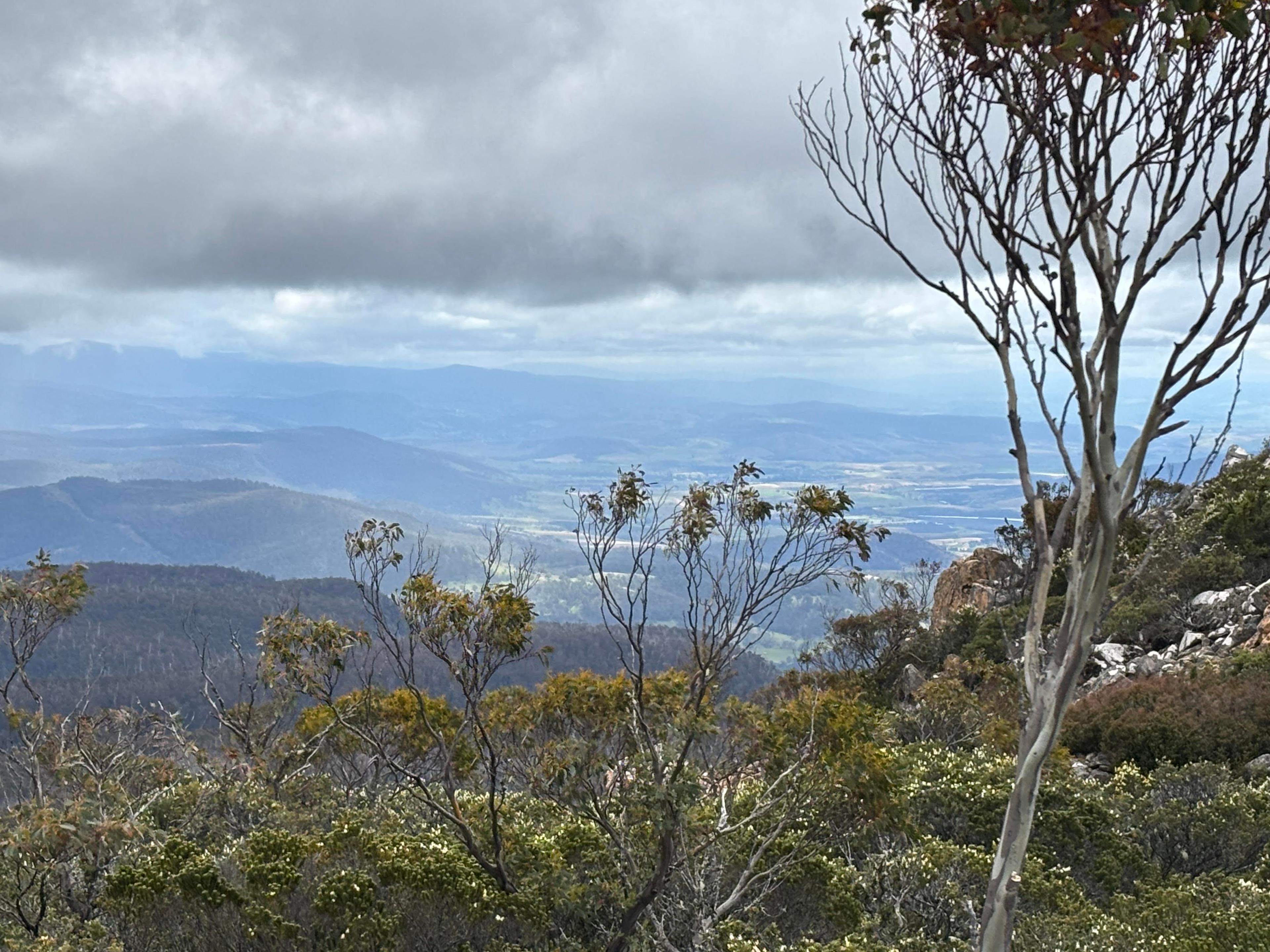 Mindfulness Based Cognitive Therapy (MBCT) Course