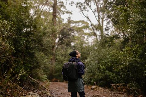 Echoes of Nature Relaxation Meditation