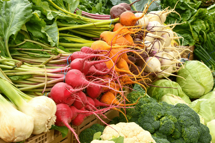 National Food Policy Forum