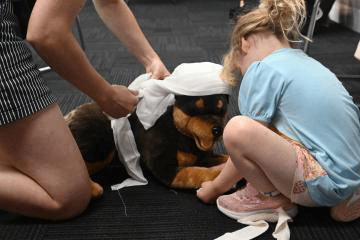 Pet First Aid