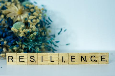 Resilience – Information Session