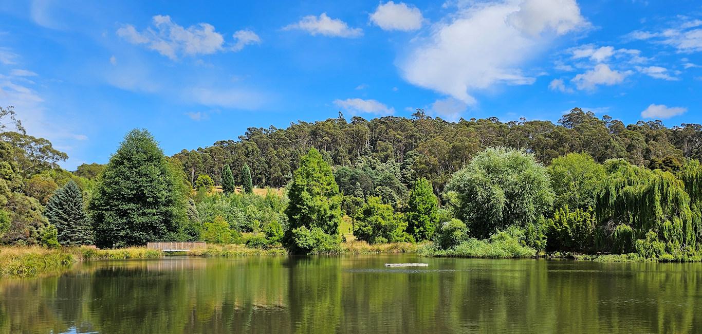 Nature Wellbeing Walk at the Tasmanian Arboretum