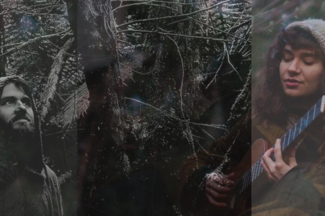 Music Meditations: Sounding with the Tarkine Forests with Tash Zappala & Ash Di Va